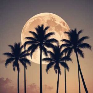 bajo la luna del sol en Punta Cana